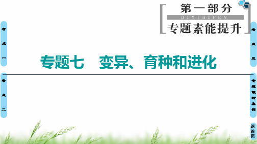 【最新】2020高考二轮生物课标版 第1部分 专题7 变异、育种和进化