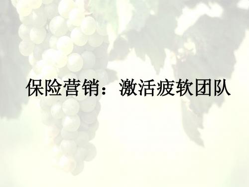 激励篇：激活疲软团队(福建陈章荣)