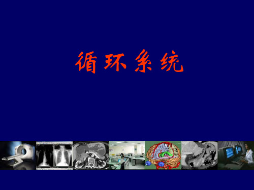 循环系统常见疾病的影像诊断