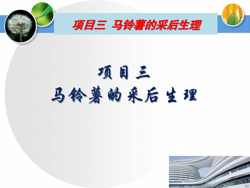 马铃薯的采后生理