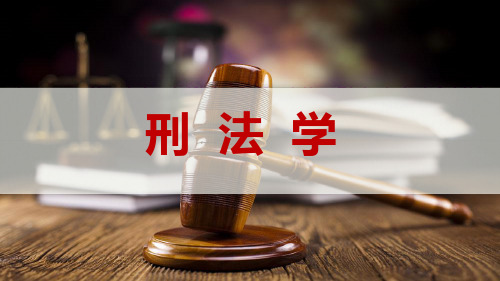 刑法学(第四章)