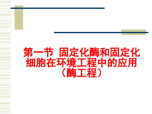 环境工程微生物学十三 微生物学新技术在环境领域的应用