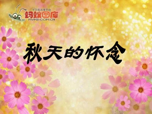 语文S版语文六上《秋天的怀念》精品课件1