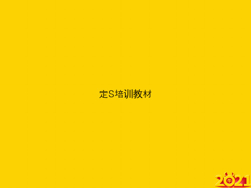 定S培训教材ppt正式完整版
