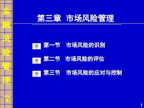 金融风险及其管理市场风险管理PPT课件