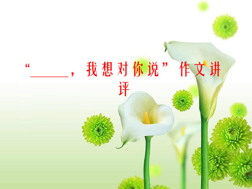 “我想对你说”作文讲评
