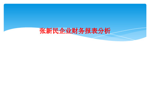 张新民企业财务报表分析