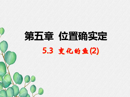 《变化的“鱼”》教学课件 (一等奖)2022年最新PPT2