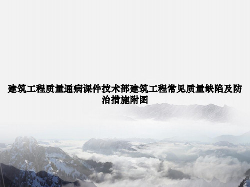 建筑工程质量通病技术部建筑工程常见质量缺陷及防治措施附图讲课文档
