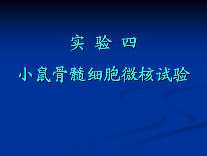 实验3-小鼠骨髓细胞微核试验-20121101