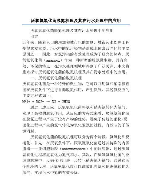 厌氧氨氧化菌脱氮机理及其在污水处理中的应用