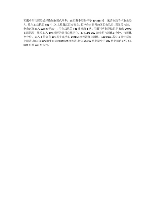 胎成纤维细胞原代培养