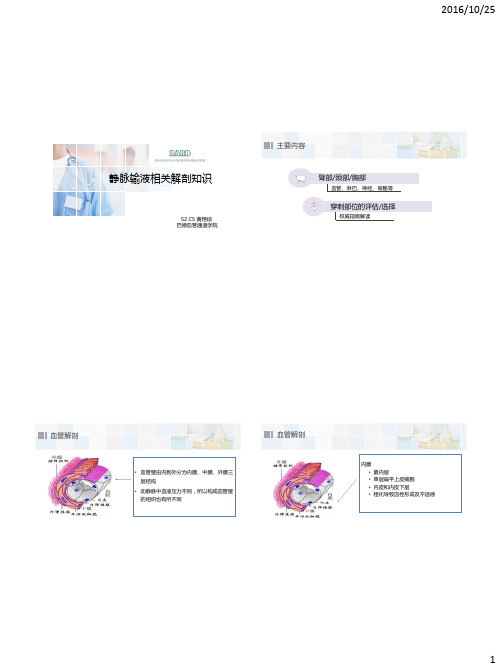 4-静脉输液相关解剖