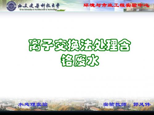 离子交换法处理含铬废水