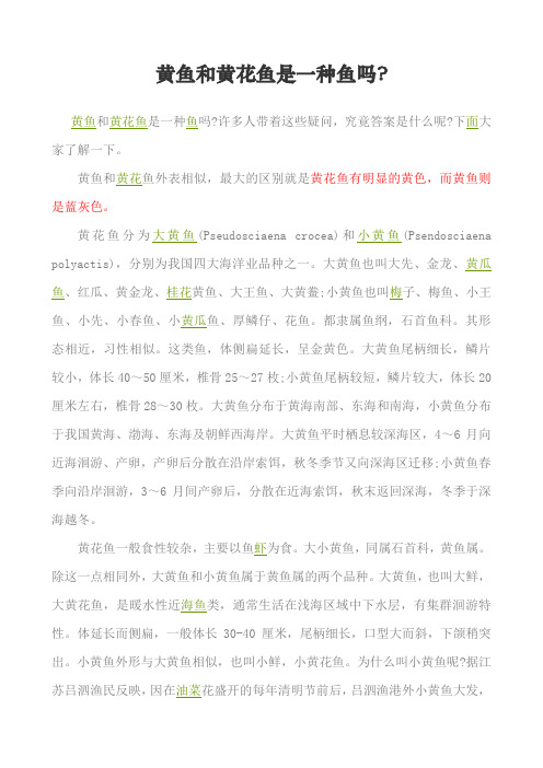 黄鱼和黄花鱼是一种鱼吗
