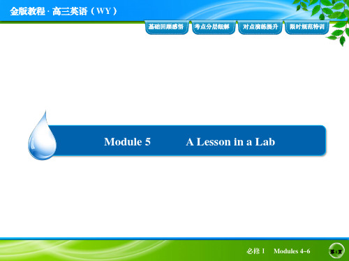 外研版英语必修Ⅰ Module 5 自编基础复习材料ppt