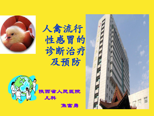 人禽流行性感冒的诊断治疗及预防