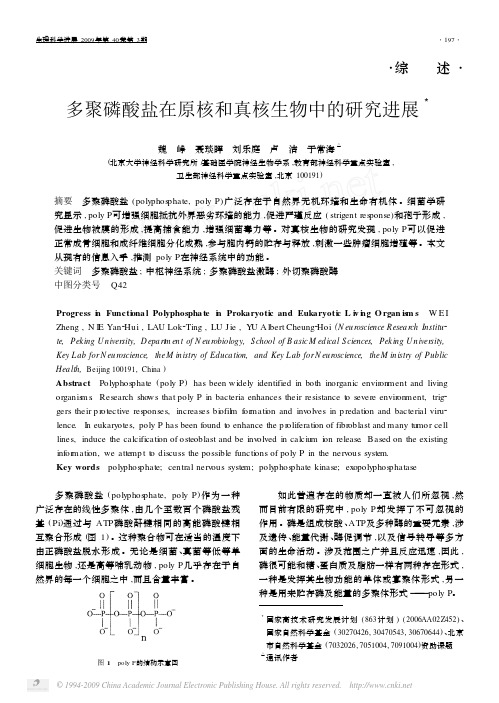 多聚磷酸盐在原核和真核生物中的研究进展