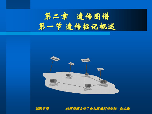 分子标记及遗传连锁图谱