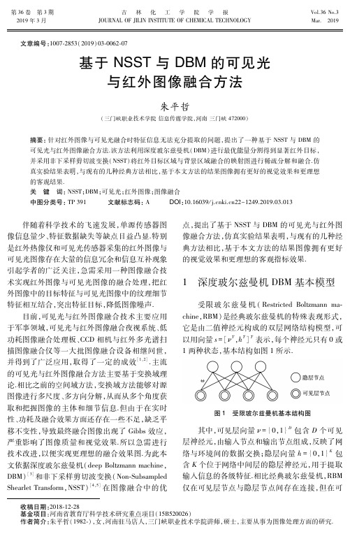 基于NSST与DBM的可见光与红外图像融合方法