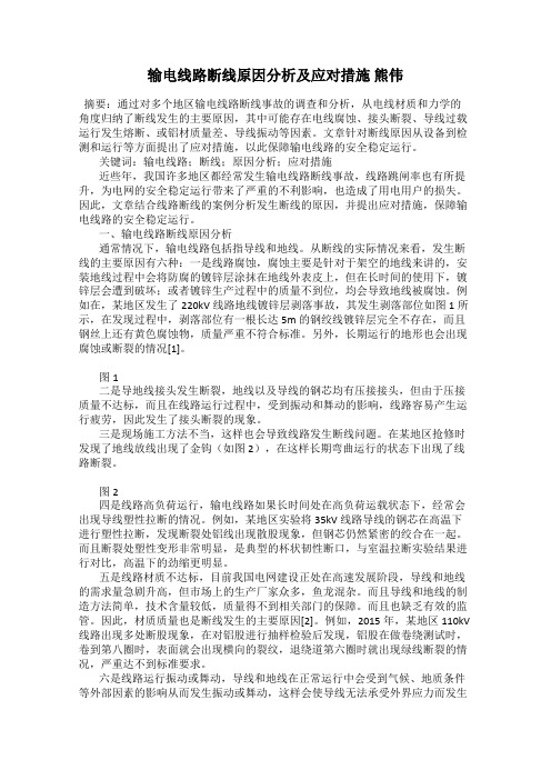 输电线路断线原因分析及应对措施 熊伟