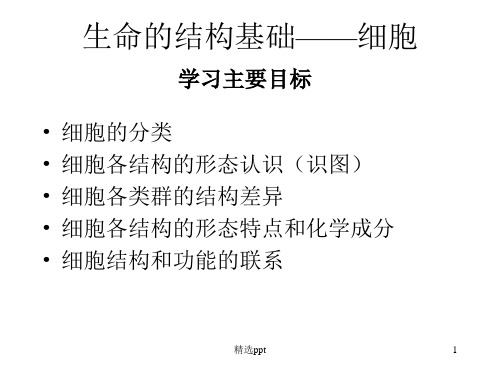 《生命的结构基础》PPT课件