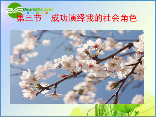 成功演绎我的社会角色