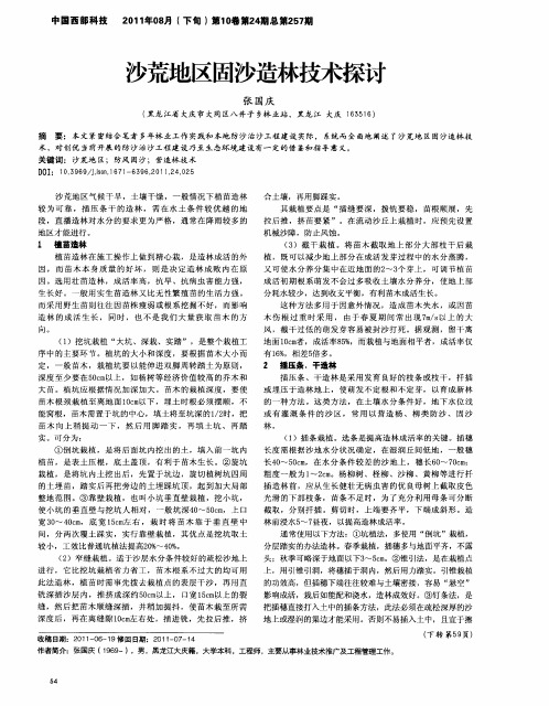 沙荒地区固沙造林技术探讨