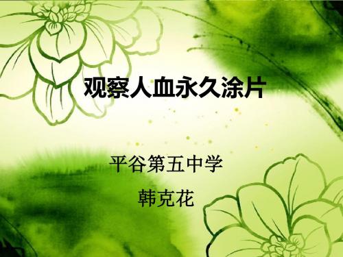 观察人血涂片说课稿