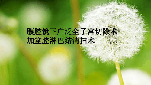 腹腔镜下广泛全子宫切除加盆腔淋巴结清扫术