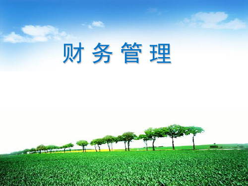 财务管理-11第十一章 财务分析