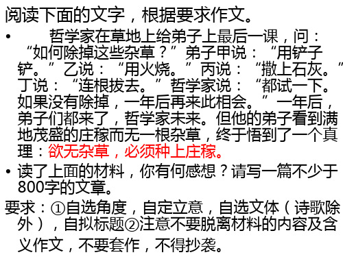 高中作文除去杂草