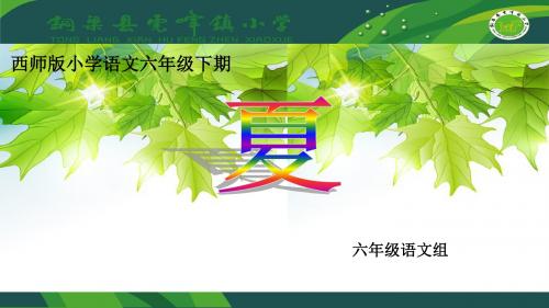 西师大小学语文六年级下册《第1课夏》PPT课件 (4)
