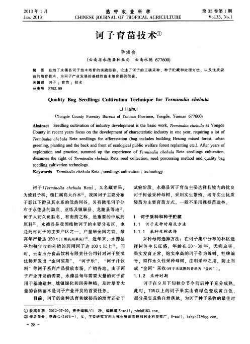 诃子育苗技术