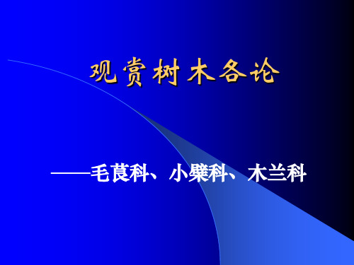 阔叶类(毛茛科、小檗科、木兰科)PPT教学课件