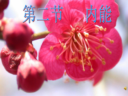 第二节__内能1PPT课件
