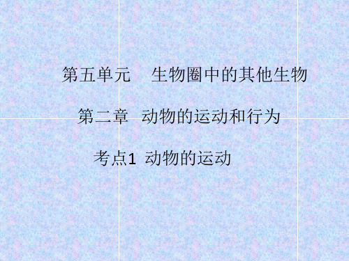 海淀区2018年初三中考生物复习教案(第十二课时)