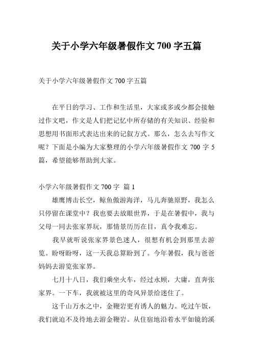 关于小学六年级暑假作文700字五篇