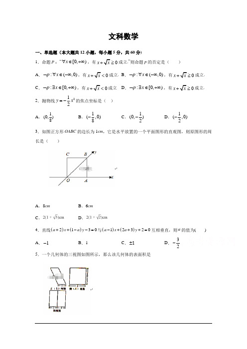 江西省南昌市进贤一中2019-2020学年高二上学期期末考试数学(文)试卷 含答案
