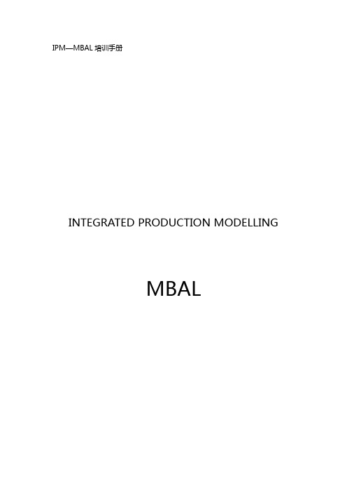 (企业MBA)MBAL培训手册