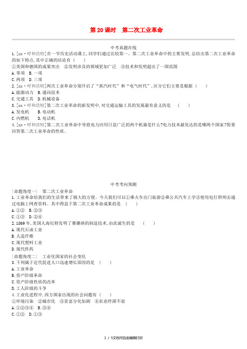 (呼和浩特专版)2019中考历史高分一轮复习 第四部分 世界近代史 课时训练20 第二次工业革命习题