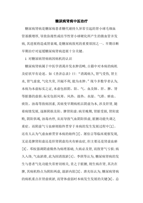 糖尿病肾病中医治疗