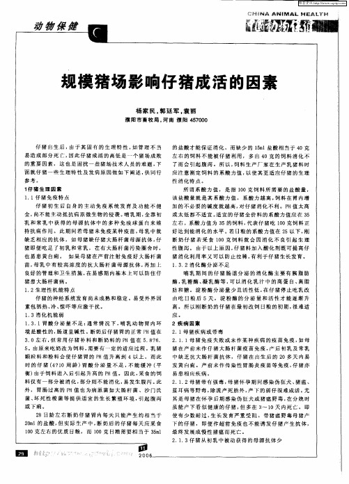 规模猪场影响仔猪成活的因素