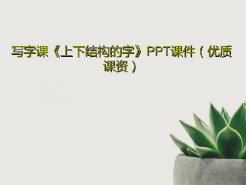 写字课《上下结构的字》PPT课件(优质课资)共19页文档