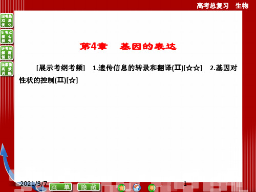 必修二第4章基因的表达