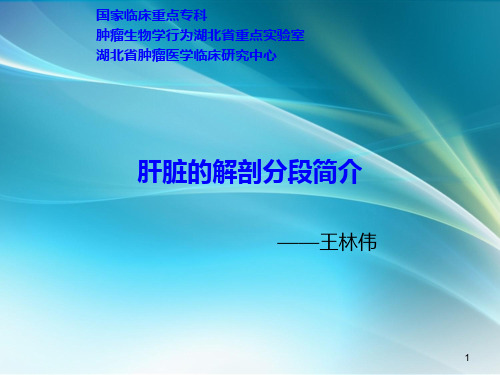 肝脏分段解剖