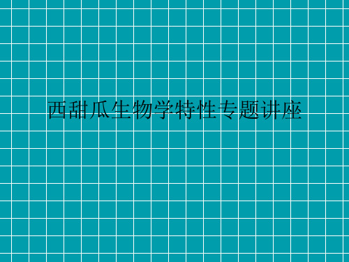 西甜瓜生物学特性专题讲座