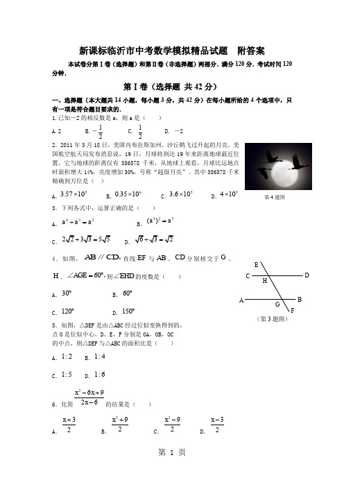新课标临沂市中考数学模拟精品试题 附答案11页word文档