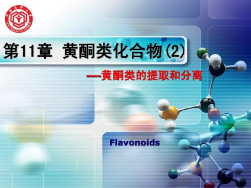 黄酮分离