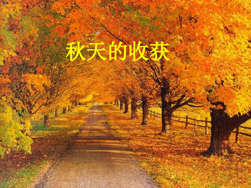 二年级品德与生活上册6《秋天的收获》教学课件
